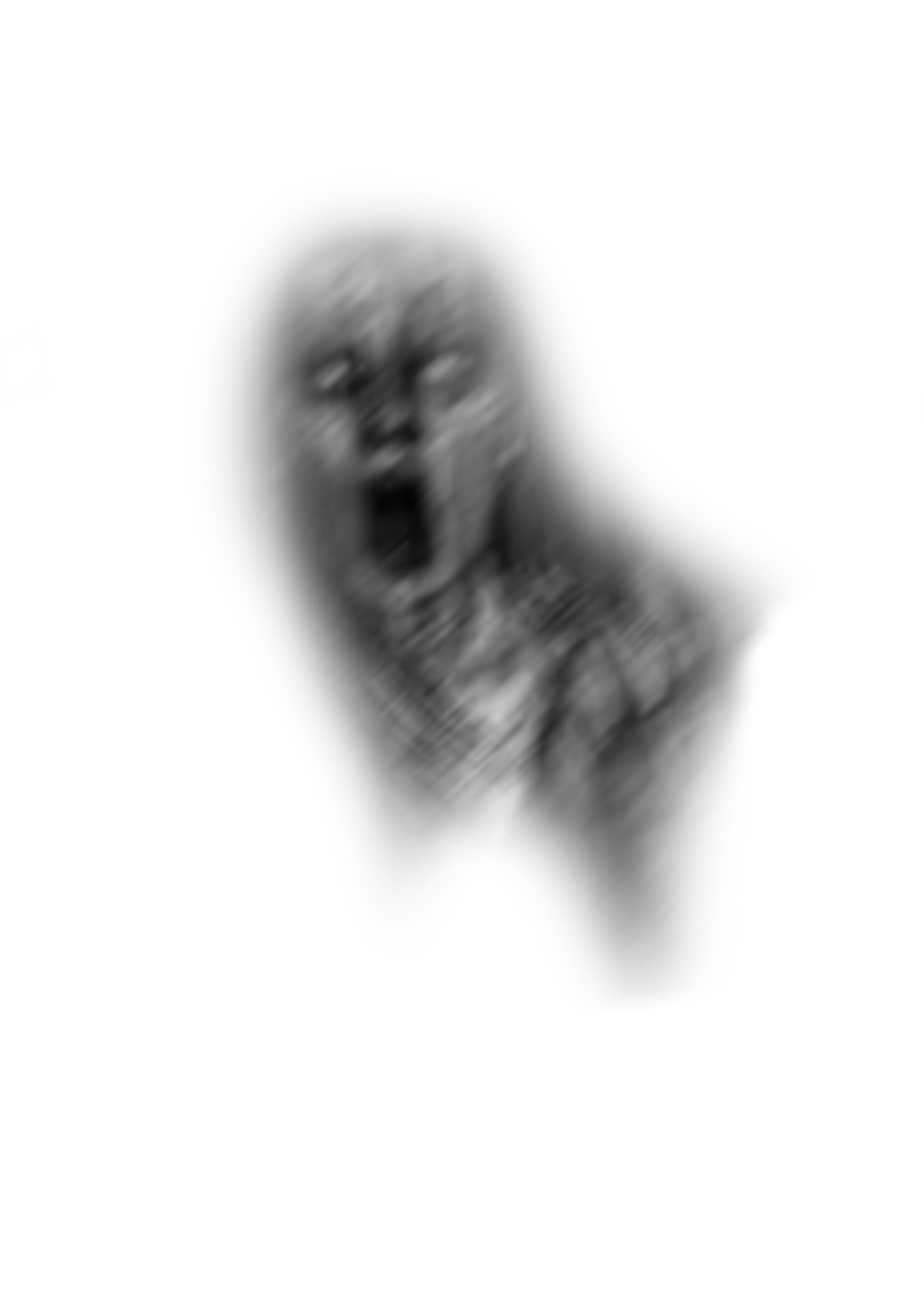 Ghost Scream